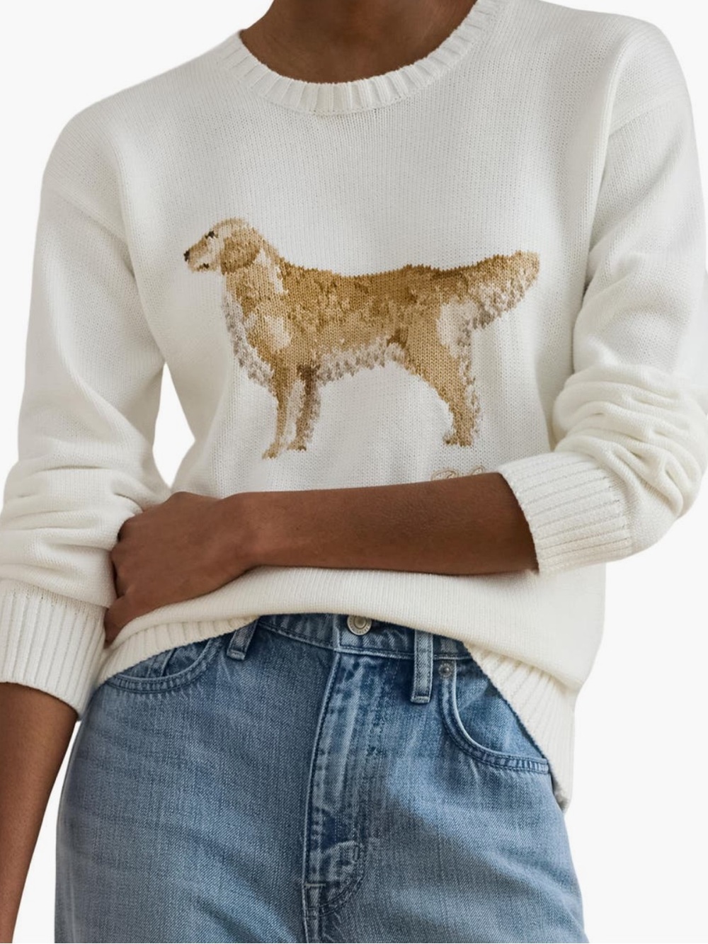 [Ralph Lauren] Golden Retriever Sweater